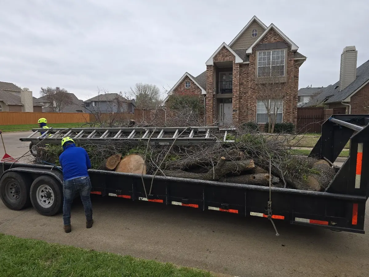 Expert Tree Fertilization with proper safety equipment in Roe